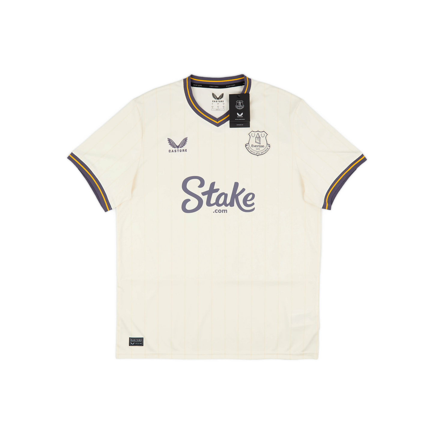 Everton FC 24/25 Third Jersey